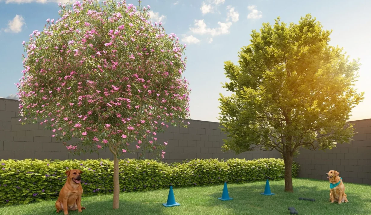 vivaz-adolfo-pinheiro (18)